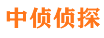 获嘉市侦探